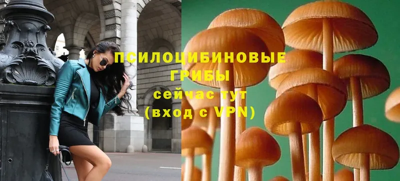 Галлюциногенные грибы Magic Shrooms  Фёдоровский 